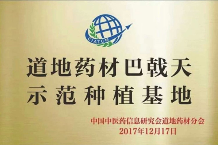 广东德庆南粤巴戟天种植示范基地