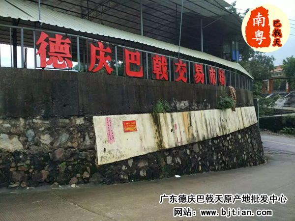 巴戟天价格 巴戟天价格
