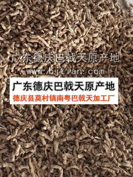 抽芯巴戟肉（中小肉干货）