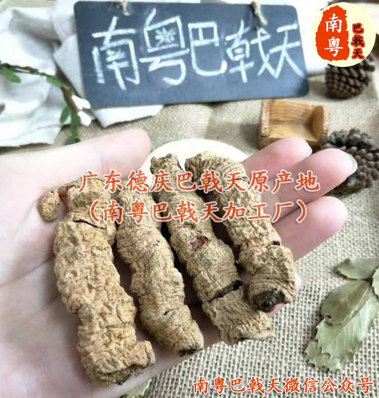 抽芯巴戟天肉