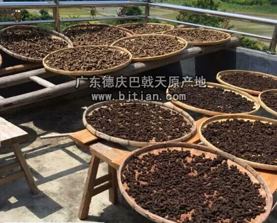 巴戟天肉苁蓉汤有什么作用