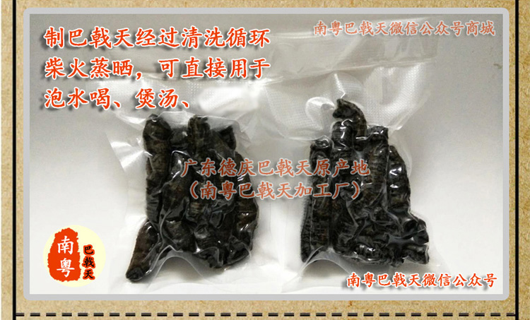 巴戟天