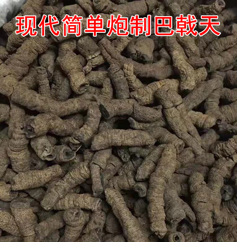 巴戟天 巴戟天