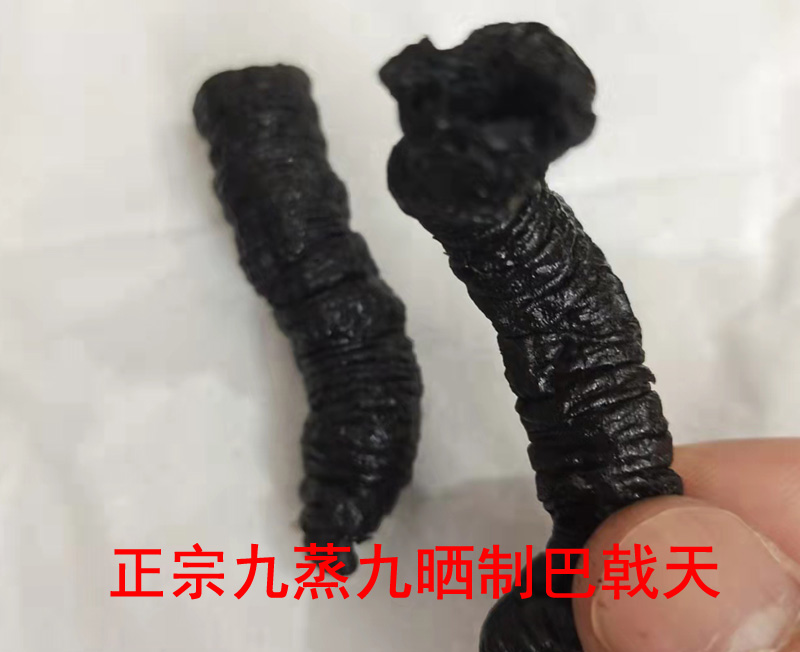 正宗九蒸九晒巴戟天 正宗九蒸九晒巴戟天