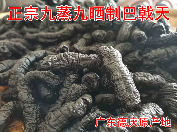 正宗九蒸九晒巴戟天 正宗九蒸九晒巴戟天