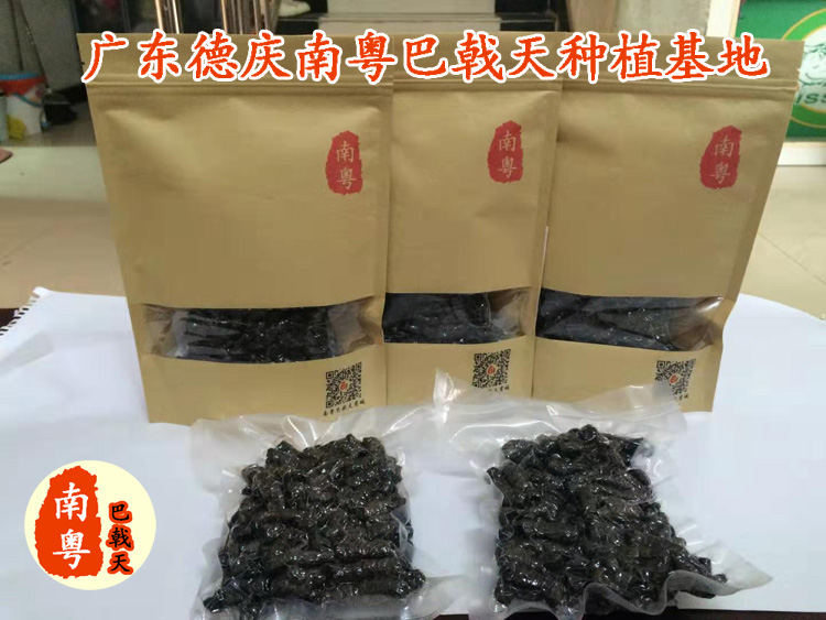 制巴戟天 制巴戟天